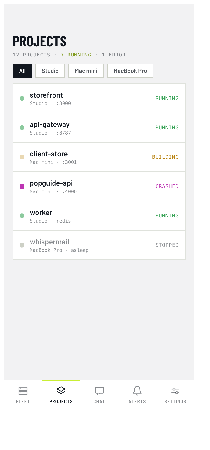 Rig iPhone projects list — running and stopped local services